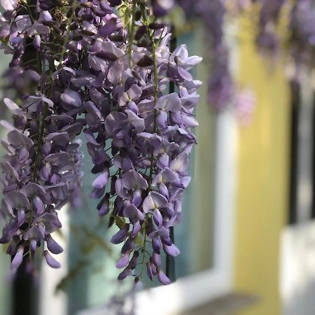 Loft Sottolalbero Διαμέρισμα Μιλάνο Εξωτερικό φωτογραφία